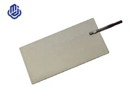 Platinová elektroda pro ionizátor vody