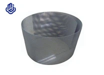 Titanová síťovina